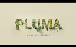 Vivo Pluma Ident